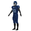 Picture of Phoenix Football Uniform