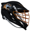 Picture of Lacrosse Decal Pack