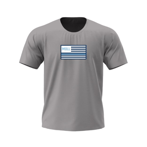 Picture of Gray Logo Tshirt  - MDLL South
